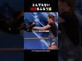 とんでもない妙技をふるう猫