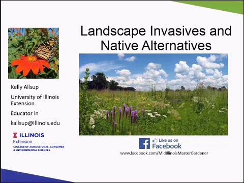 Landscape Invasives and Native Alternatives - 2019 Four Seasons Gardening Webinar