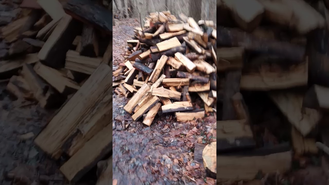 Technique For Splitting Firewood By Hand Without Using A Tire Or Bungee Cord YouTube