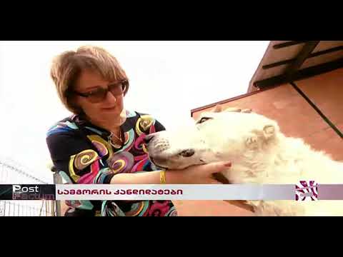 ფიქრია ჩიხრაძე გადაცემაში \"პოსტ ფაქტუმი\"