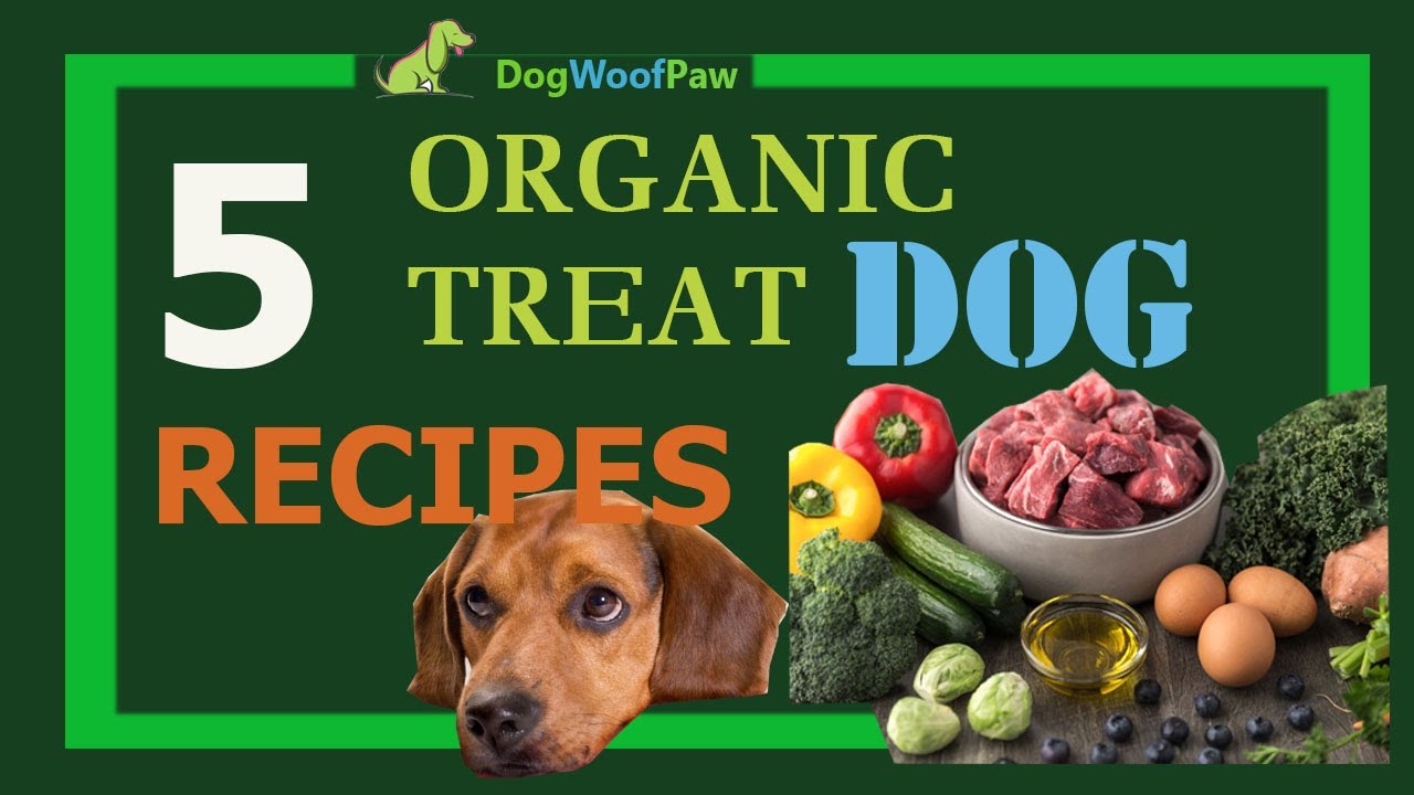 5 Best Organic Dog Treat Recipes DOG WOOF PAW YouTube