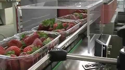 FLOW PACK MACHINE FOR STRAWBERRIES WITH AUTOMATIC FEEDING, MOD  LYRA