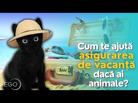 Video: Sunt animalele mele de companie acoperite de asigurarea de călătorie?