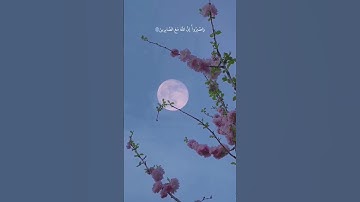 الصبر الصبر #تلاوات_مؤثرة