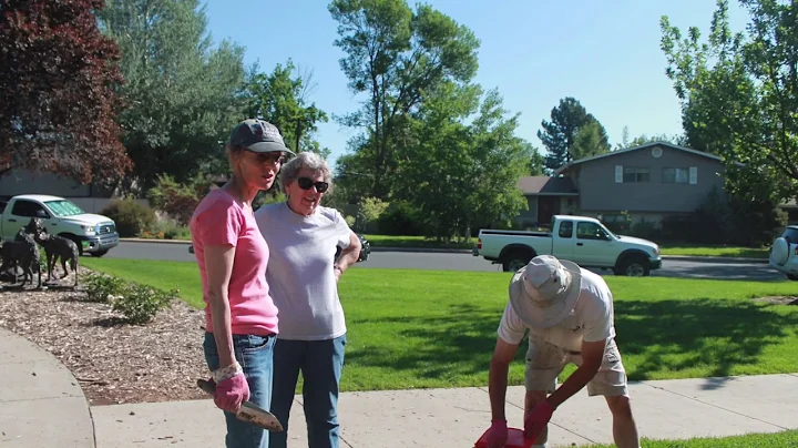 Tales From Loveland Garden Club 2