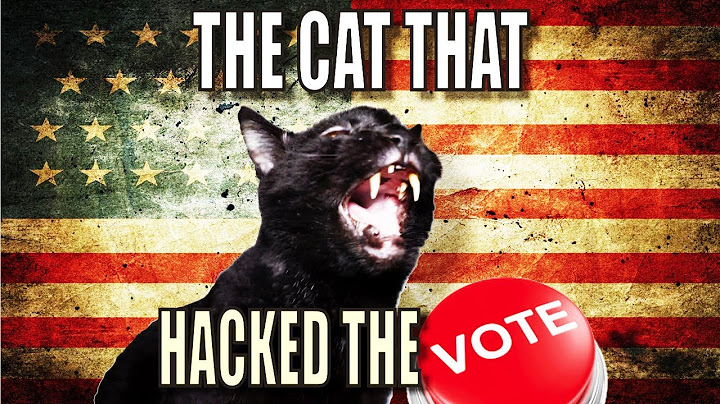 Talking Kitty Cat 57 - The Cat That Hacked The Votes