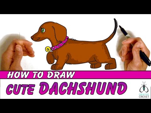 Video: Cách Vẽ Một Con Dachshund