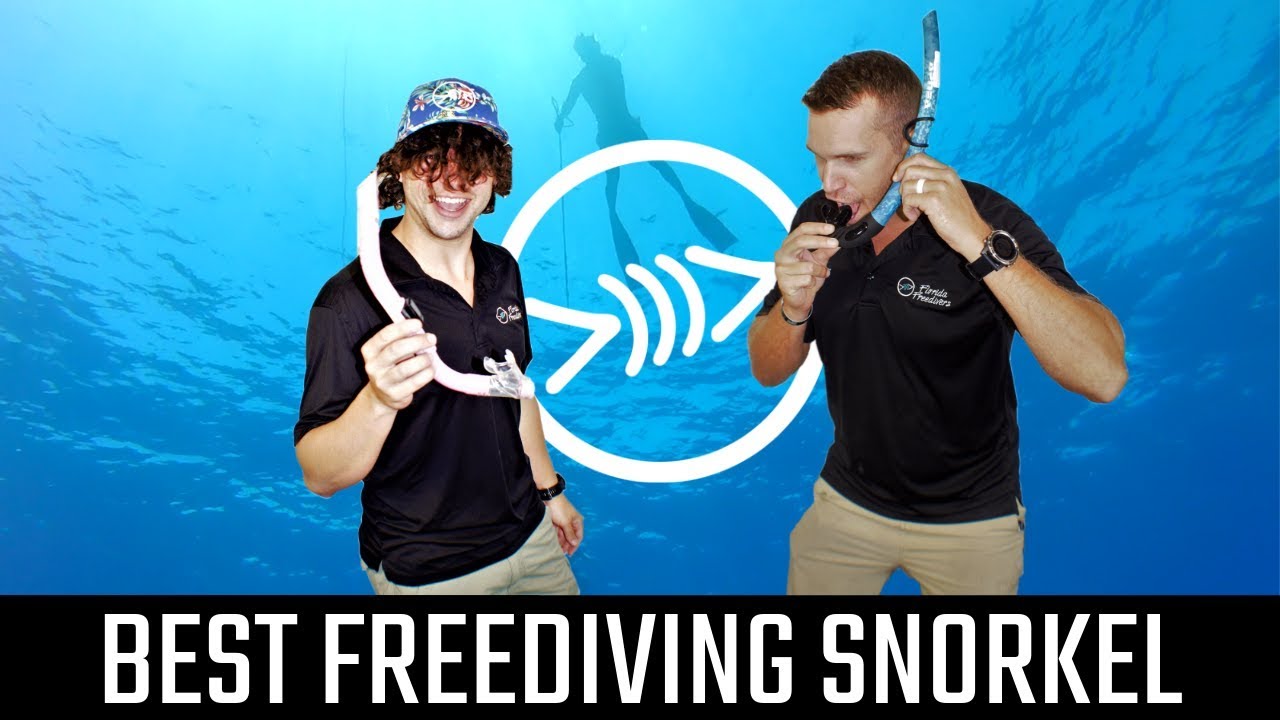 Best Freediving Snorkel Florida Freedivers YouTube