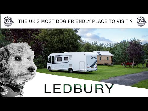 Video: Kun je honden meenemen naar abbotsbury swannery?