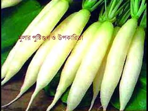 ভিডিও: শুঁটি মূলা