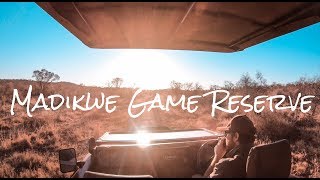 Madikwe Game Reserve | Rhulani Safari Lodge 2019
