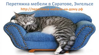 Перетяжка мебели в Саратове / Диваны/ Собаки или кошки?/Котэ Саратовский/ Перетяжка мебели в Саратове / Диваны/ Собаки или кошки?/Котэ Саратовский/