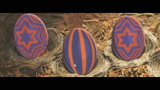 Hatching and releasing Namielle eggs (Monster Hunter Stories 3 demo)