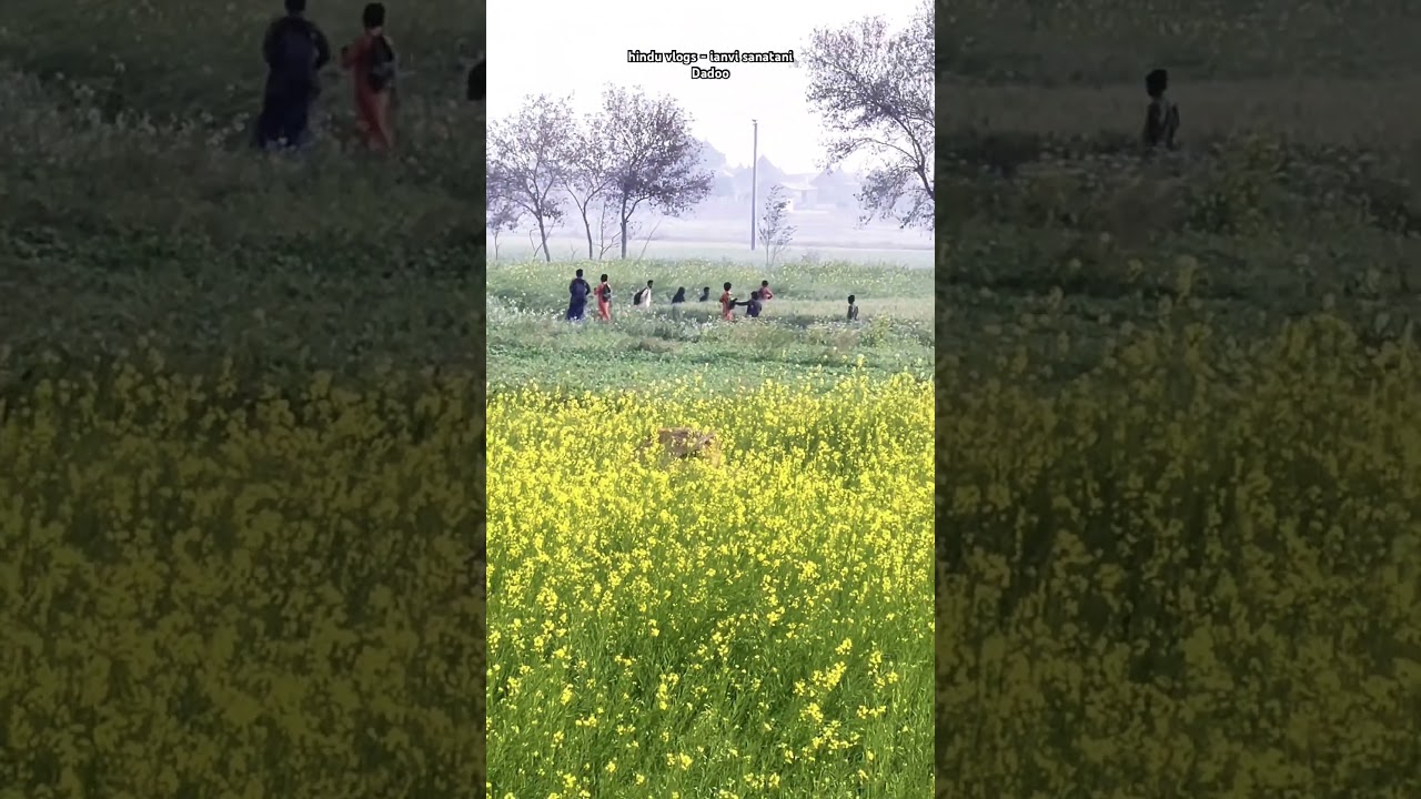 Ye hai mera Pakistan mein hindu village | subah ki time bache school jate huwe