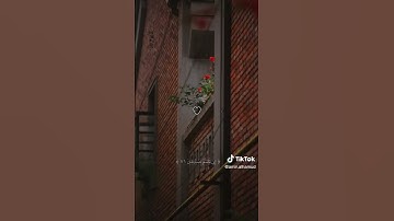 اعثر على 'القرآن الكريم' على TikTok   بحث TikTok1