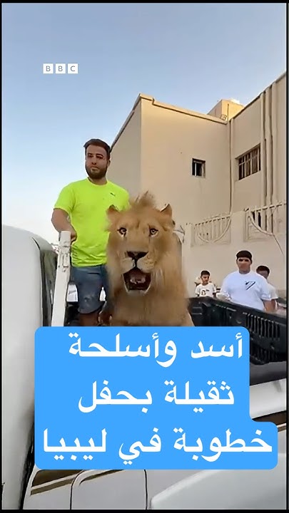       
 - نشر قبل 12 دقيقة