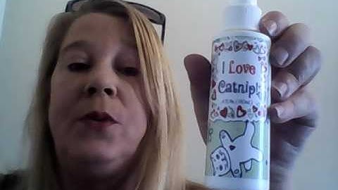 Liquid Catnip Spray - I Love Catnip by Pet Mastermind