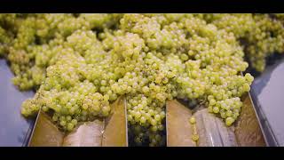 EPPAN WEIN