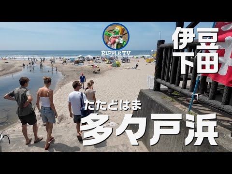 値下げしました、シティーサイクル、引き取り限定伊豆下田多戸々浜近くです。 値下げしました、シティーサイクル、引き取り限定伊豆下田多戸々