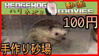 100円でハリネズミの砂場を作ったよ！Play with sand of the hedgehog