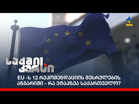 EU -ს 12 რეკომენდაციის შესრულების ანგარიში - რა ეტაპზეა საქართველო?