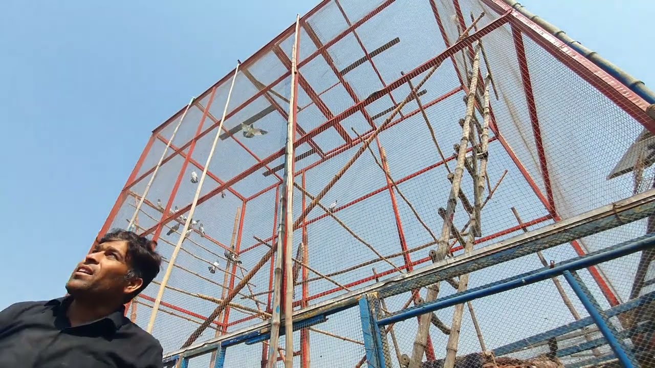 Wahh aaj sawaad aa giya chiri mari ka maza aa giya اج کی چڑی ماری کا سواد اور شوق