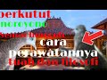 Perkutut katuranggan noroyono dan semar lungguh dan cara merawatnyaom yos cannel