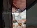 Hikvision Bullet Camera Perfect for Yard and Roadside #cctvsystem #hikvision #homesecurity #viral
