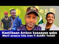 Kaasaayee Fi Dubbii Art Teedii Akkasuma Marii Araaraa Iraan Fi Traamp Kaabutaa United Oromia 