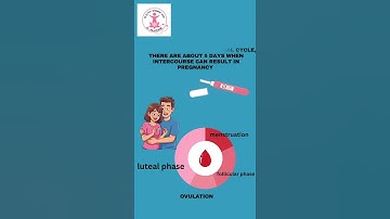 Secrets of Your Fertile Period and Monitoring Your Menstrual Cycle  #youtube #doctor #ultrasound