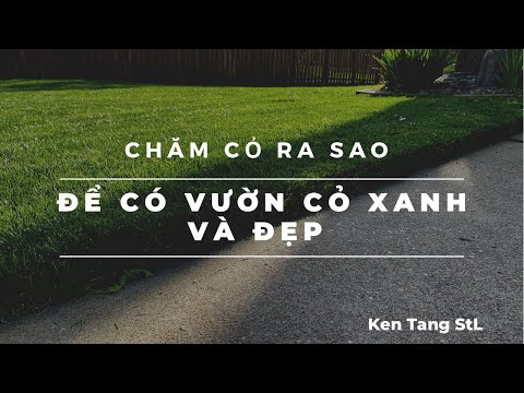 Video: Trồng Cây Fescue Xanh: Trồng và Chăm sóc Cỏ Fescue Xanh