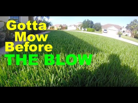 lawn tips youtube Enjoying The Mow Before Hurricane Irma