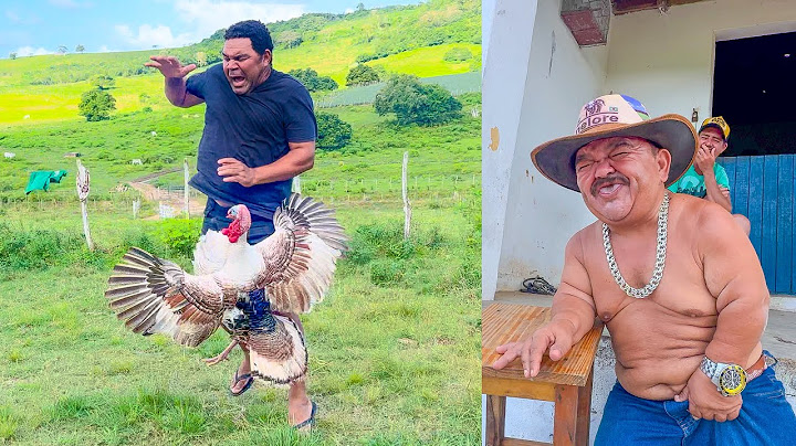 PILILIU LASCOU GALO CEGO COM O PERU BRAVO 🤣 | PILILIU DA RESENHA