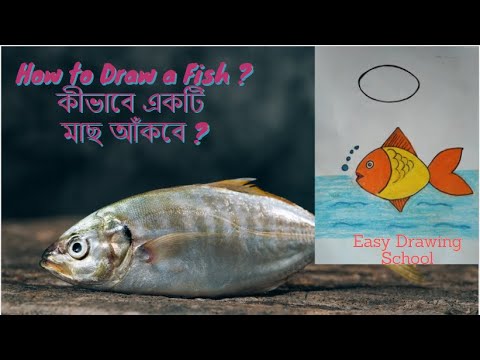 ভিডিও: কীভাবে একটি মাছ আঁকবেন