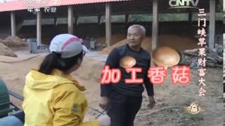 致富经 《致富经》 20131210 三门峡苹果财富大会