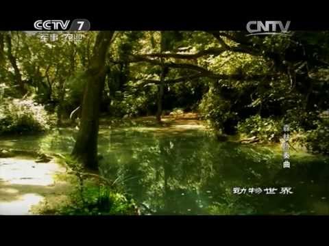 央視動物節目都開始說實話了！