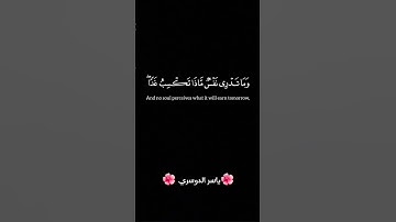 #قران_كريم #القرآن_الكريم #تلاوة_خاشعة #راحة_نفسية #ماهر_المعيقلي