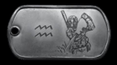 How to get the Aquarius Dog Tag BF4