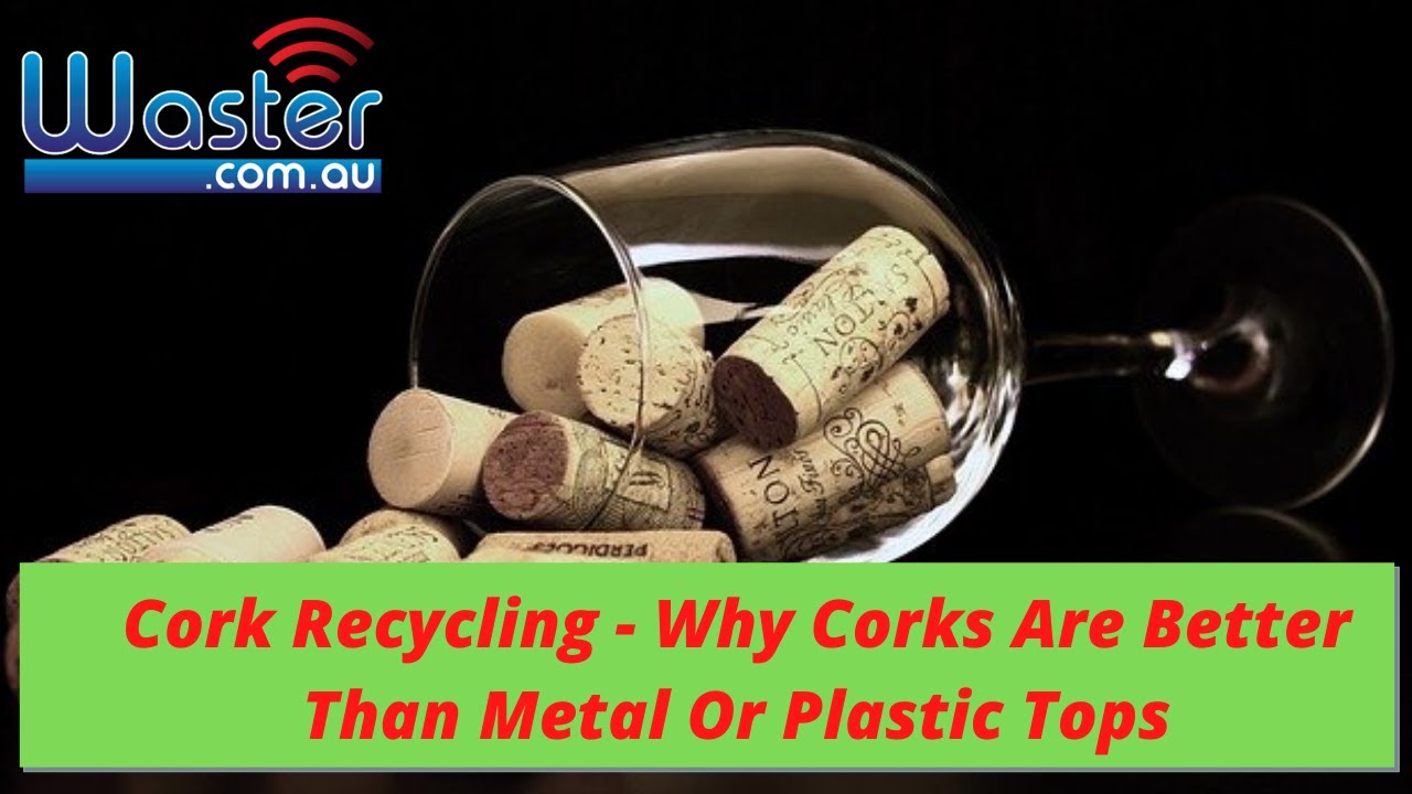 Can You Recycle Corks From Wine Bottles 🍾 Cork Recycling 