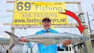 CHEAPEST Fishing Charter Boat in Florida Catches BIGGEST Fish by Mental Health Day 2,061 views 2 weeks ago 20 minutes