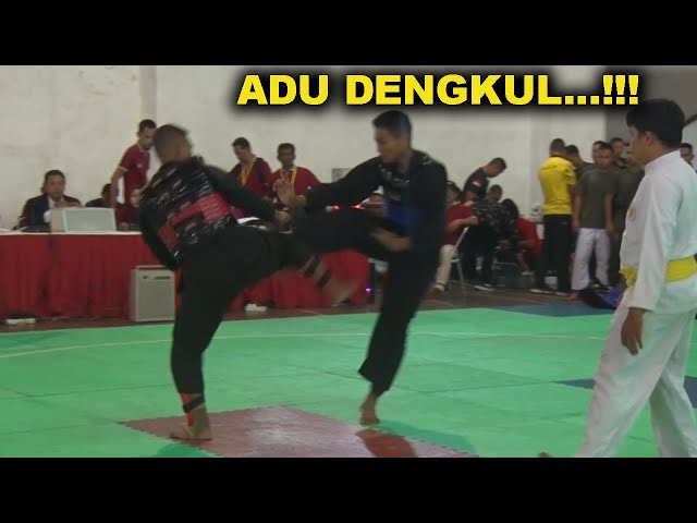 Adu Dengkul, Kekuatan Maksimal...!!! KEJUARAAN SILAT ANTAR PERGURUAN class=