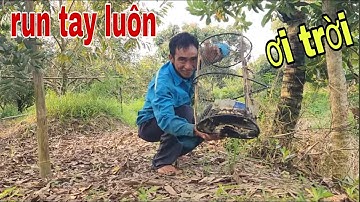 Độc Lạ Việt Nam Thăm Lờ Cá Lóc Dính Con Vật Kỳ Lạ Này # SĂN BẮT ĐỒNG THÁP #