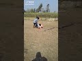 WhatsApp status funny 2019 video Whatsapp Status Video Download Free