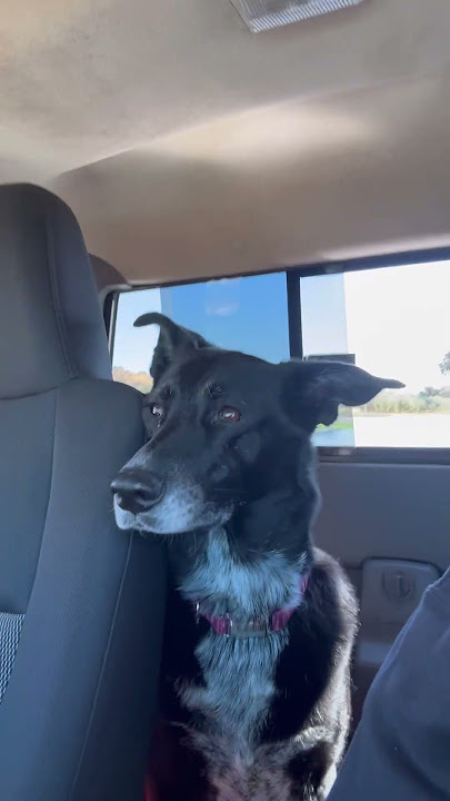 Download lagu Mini adventures