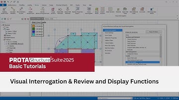 11 – Visual Interrogation & Review and Display Functions