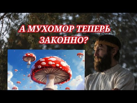 Новый закон про грибы! Как теперь доставать красный мухомор🍄??? Ответ в видео! 🔥🌲