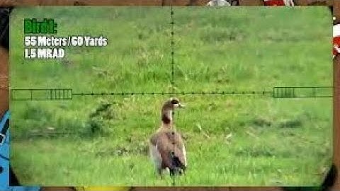 Duck hunting full slow motion video 2017 please subscribe and like my page