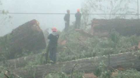 Basco Crew on Bateman 08