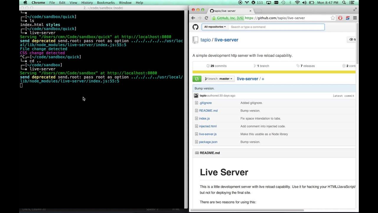Html index сервер. Сервер хромиум. reload для саблайм. live server. live server vs code.