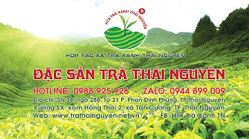 Chè Thái Nguyên ngon nhất,  Chè Tân Cương mua ở đâu?